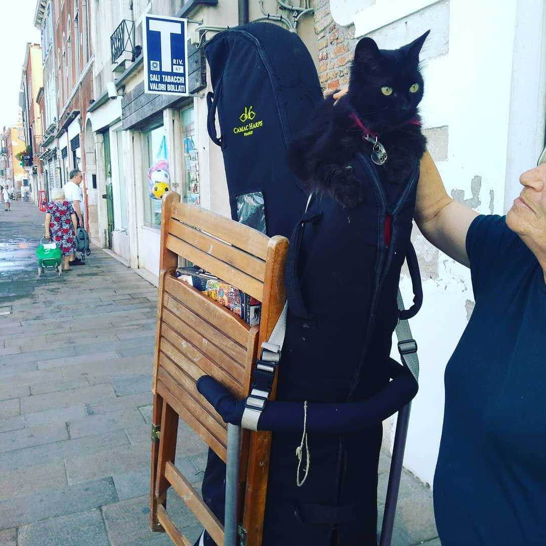 "Les cartes postales musicales ou le journal d'une harpe itinérante" img 20180813 170028 148